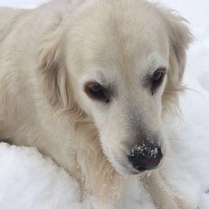 Meet your Posher, Mae